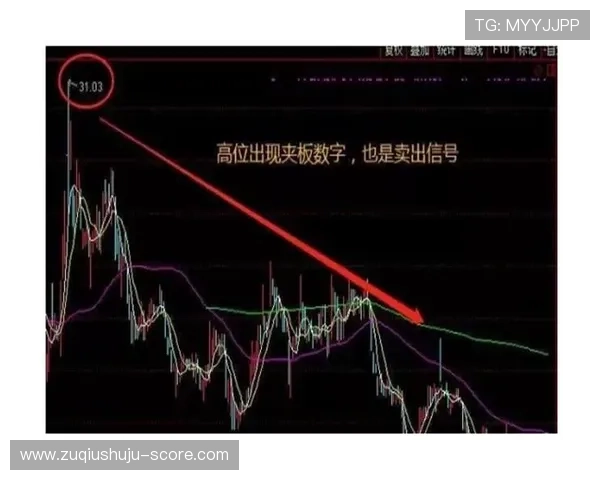 波胆00退本金规则避坑指南数字高频玩法防骗